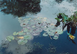 Giverny, France, 1977. 1977. Chromogenic color print, 7 11/16 x 9 5/8&#34; (19.5 x 24.5 cm). The Museum of Modern Art, New York. Gift of the Estate of Lila Acheson Wallace. © 2017 Stephen Shore
