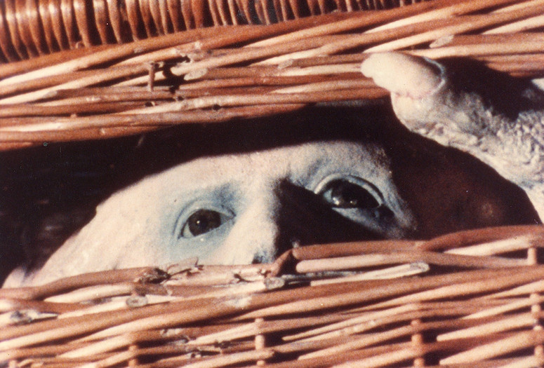 Basket Case. 1982. USA. Directed by Frank Henenlotter