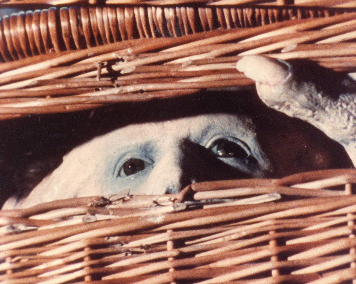 Basket Case. 1982. Directed by Frank Henenlotter MoMA
