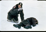Fargo. 1996. USA. Directed by Joel Coen