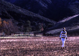 Safe. 1995. USA/Great Britain. Written and directed by Todd Haynes. Courtesy of Sony Pictures Classics