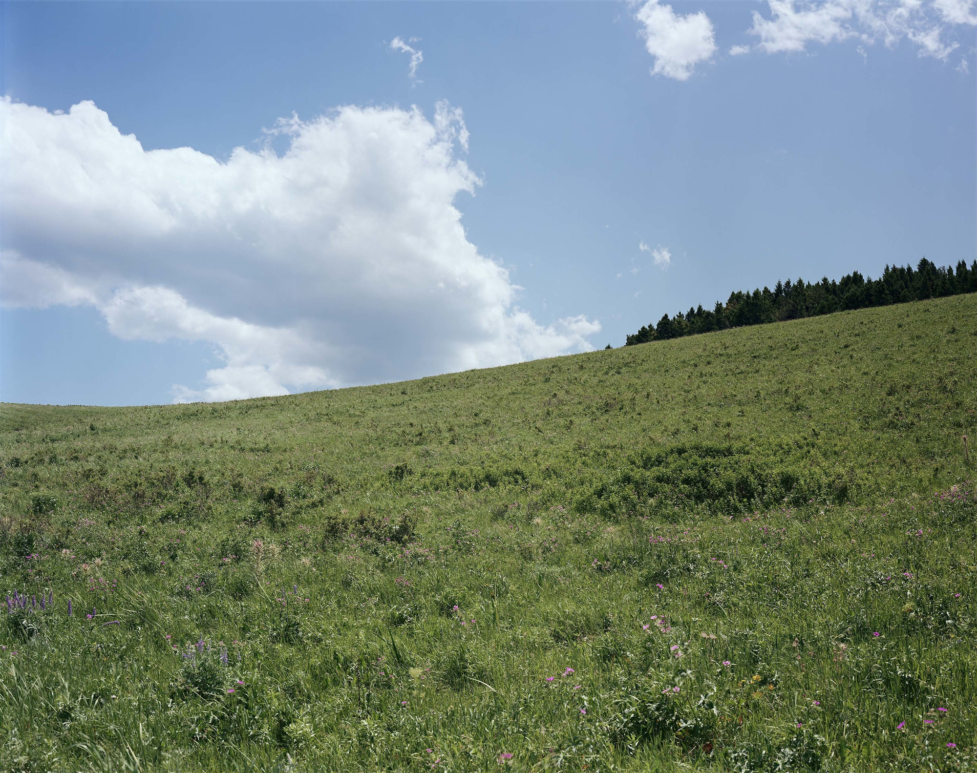 Stephen Shore (American, born 1947). _Gallatin County, Montana, August 2, 1983._ 1983. Chromogenic color print, printed 2017, 36 × 45" (91.4 × 114.3 cm). Courtesy the artist and 303 Gallery, New York