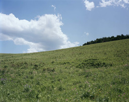 Stephen Shore (American, born 1947). Gallatin County, Montana, August 2, 1983. 1983. Chromogenic color print, printed 2017, 36 × 45" (91.4 × 114.3 cm). Courtesy the artist and 303 Gallery, New York