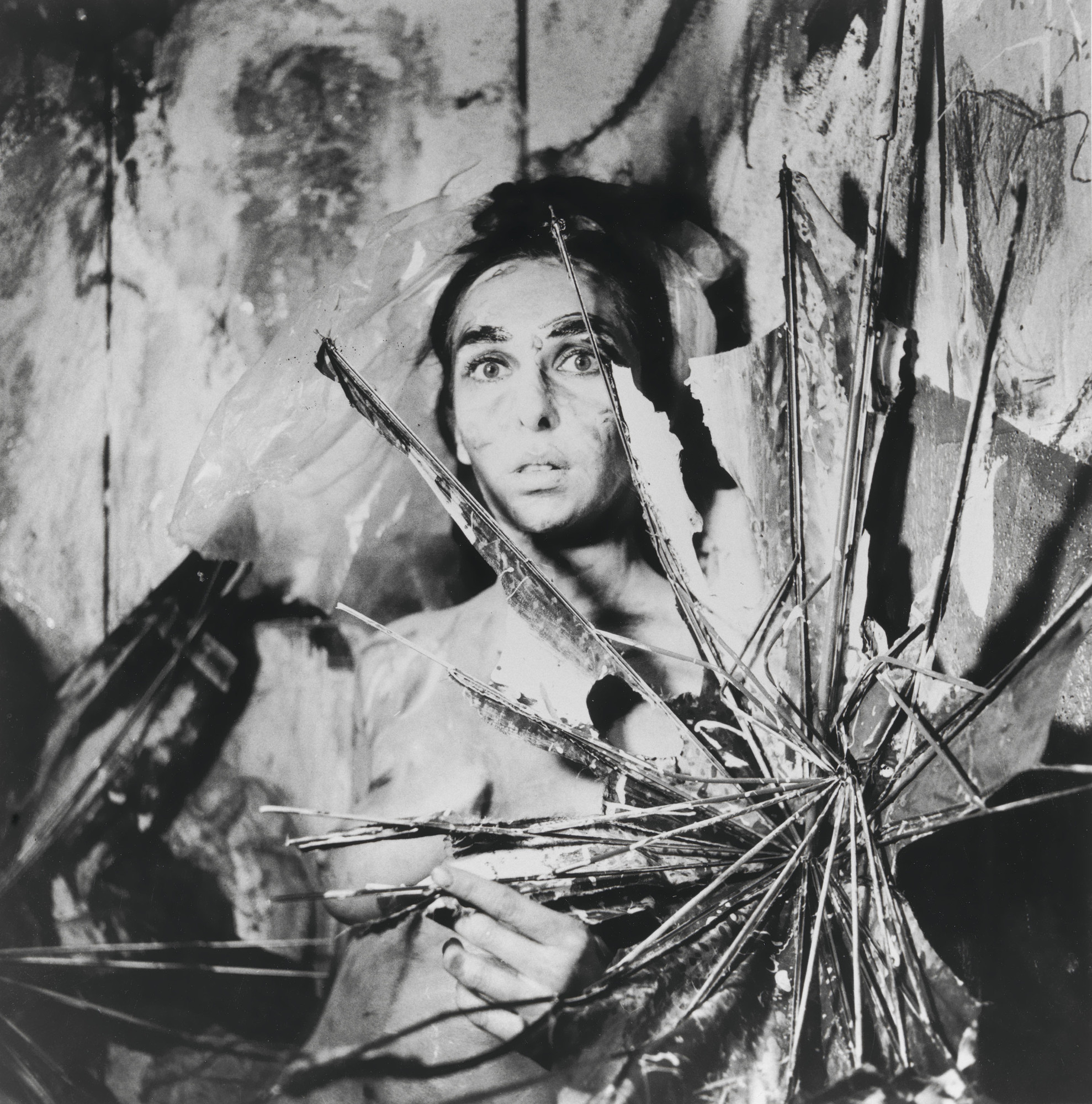 Carolee Schneemann MoMA