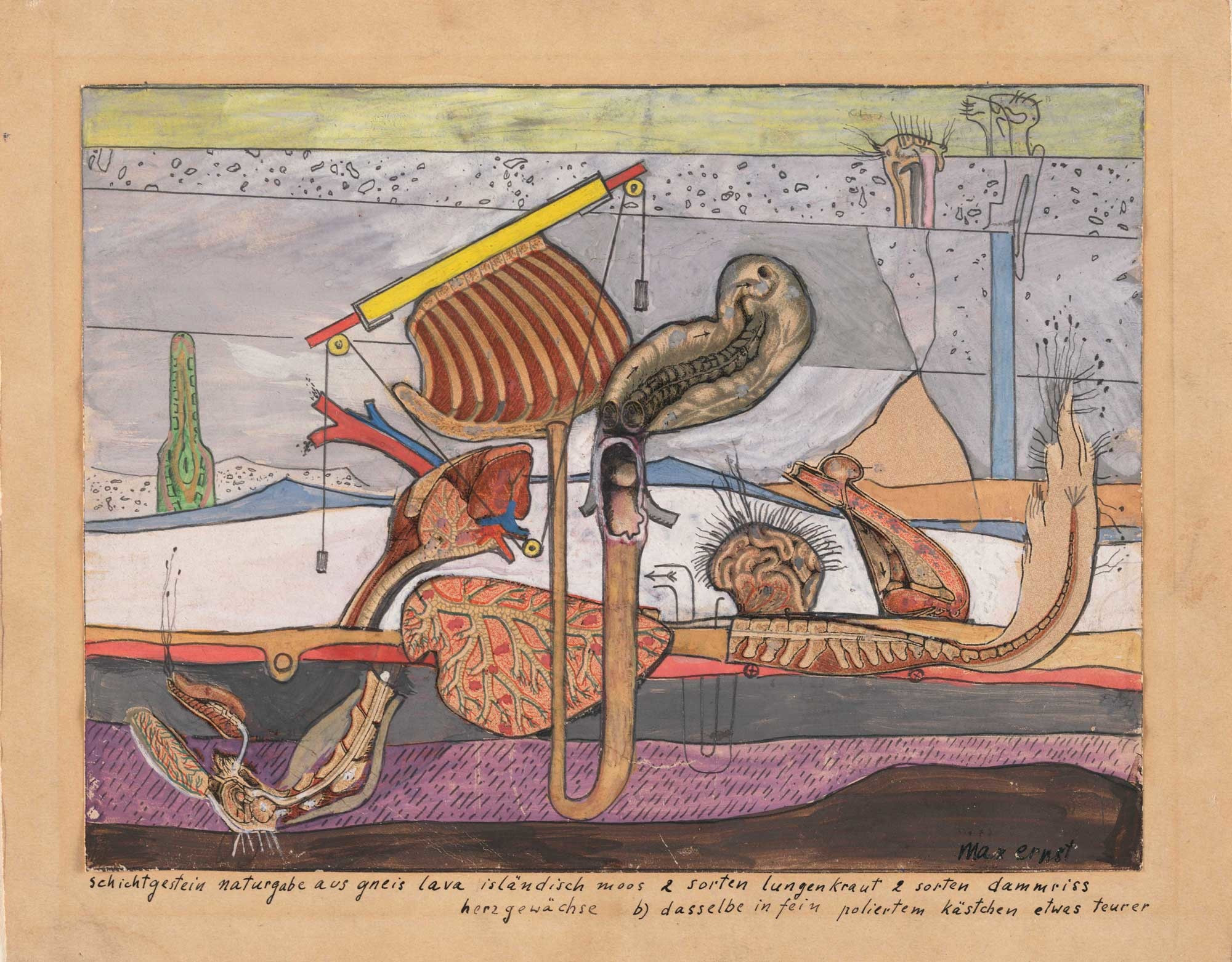 Max Ernst. Stratified Rocks, Nature’s Gift of Gneiss Lava Iceland Moss 2 kinds of lungwort 2 kinds of ruptures of the perinaeum growths of the heart b) the same thing in a well-polished little box somewhat more expensive. 1920. Gouache and pencil on printed paper on cardstock. Purchase, 1937. © 2017 Artists Rights Society (ARS), New York/ADAGP, Paris. Photo: John Wronn