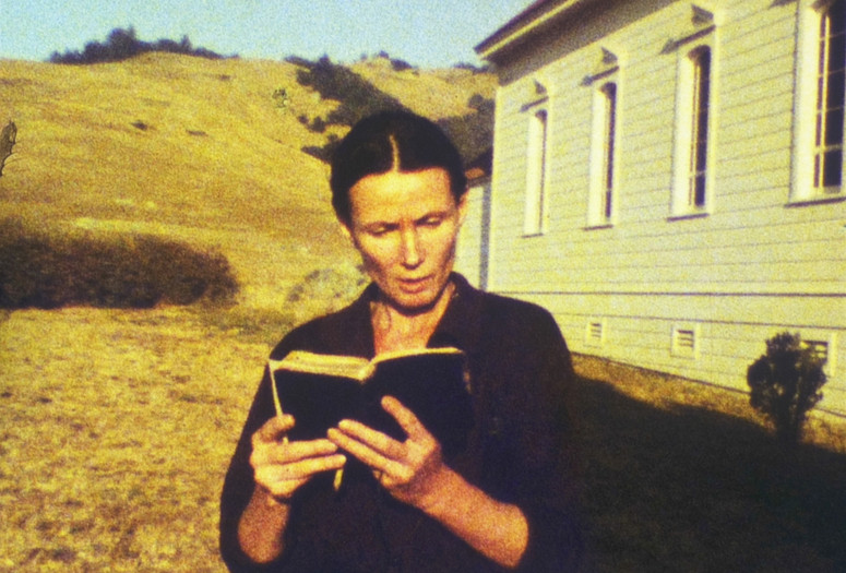 Doppelganger. 1987. USA. Directed by Peggy Ahwesh. Courtesy of The Women's Film Preservation Fund
