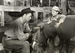 The Red Pony. 1949. USA. Directed by Lewis Milestone