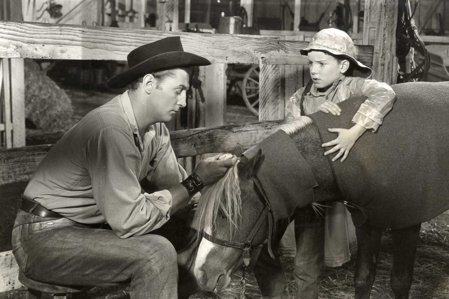 The Red Pony. 1949. USA. Directed by Lewis Milestone