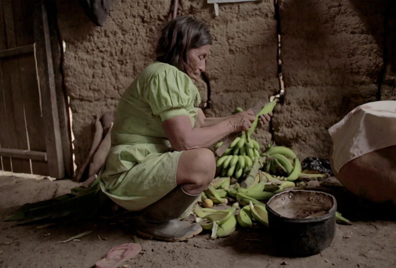 Rio Verde: El tiempo de los Yakurunas. 2017. Peru. Directed by Alvaro Sarmiento, Diego Sarmiento. Courtesy of Alvaro Sarmiento