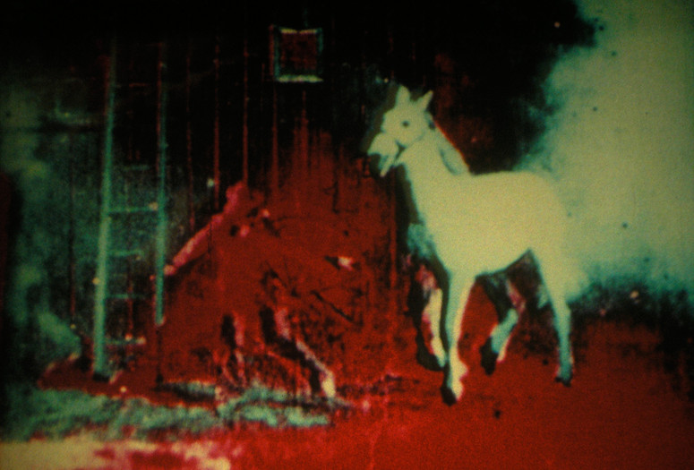 Berlin Horse. 1970. Great Britain. Directed by Malcolm le Grice. Courtesy of Malcolm LeGrice and LUX, London