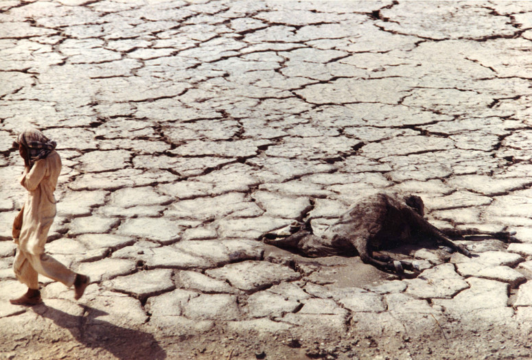 Aab, Baad, Khaak (Water, Wind, Dust). 1989. Iran. Written and directed by Amir Naderi