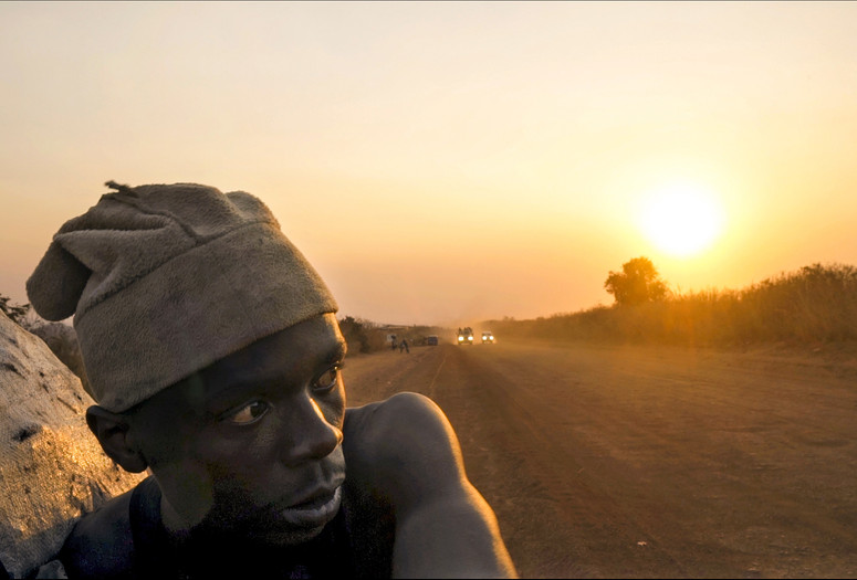 Makala. 2017. France. Directed by Emmanuel Gras. Courtesy of Les Films du Losange