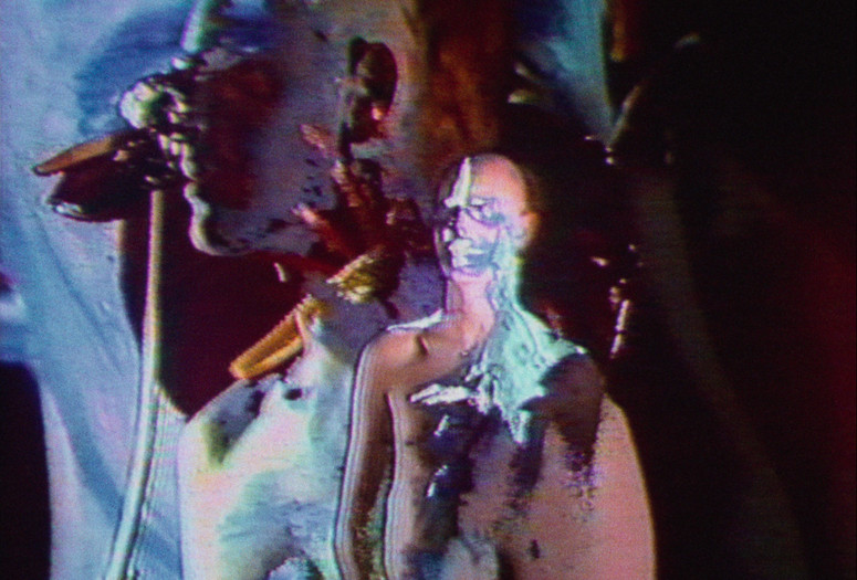 The Miracle of the Rose. 1984. Great Britain. Directed by Cerith Wyn Evans. Courtesy the artist and LUX