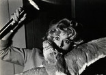 The Birds. 1963. USA. Directed by Alfred Hitchcock