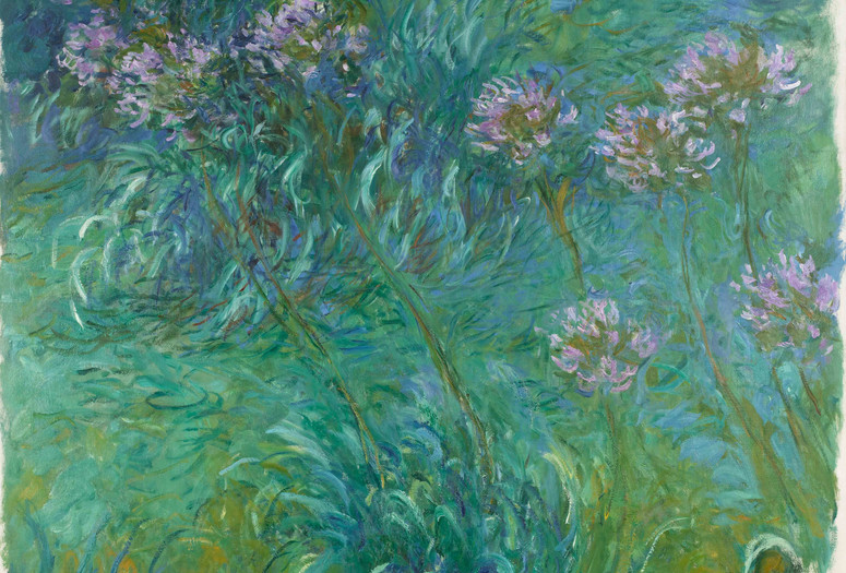 Claude Monet. Agapanthus. 1914–26. Oil on canvas, 6&#39; 6&#34; x 70 1/4&#34; (198.2 x 178.4 cm). Gift of Sylvia Slifka in memory of Joseph Slifka
