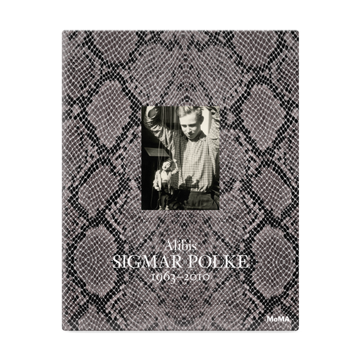 Alibis: Sigmar Polke 1963–2010 | MoMA