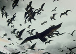 Leviathan. 2012. USA/France/Great Britain. Directed by Lucien Castaing-Taylor, Véréna Paravel. Image courtesy of Cinema Guild