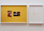Hương Ngô and Hồng-Ân Trương. The opposite of looking is not invisibility. The opposite of yellow is not gold (detail). 2016