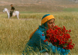 Gabbeh. 1996. Iran. Written and directed by Mohsen Makhmalbaf. Courtesy of Makhmalbaf Film House