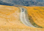 The Wind Will Carry Us. Iran. Written and directed by Abbas Kiarostami. Courtesy of Cohen Media Group