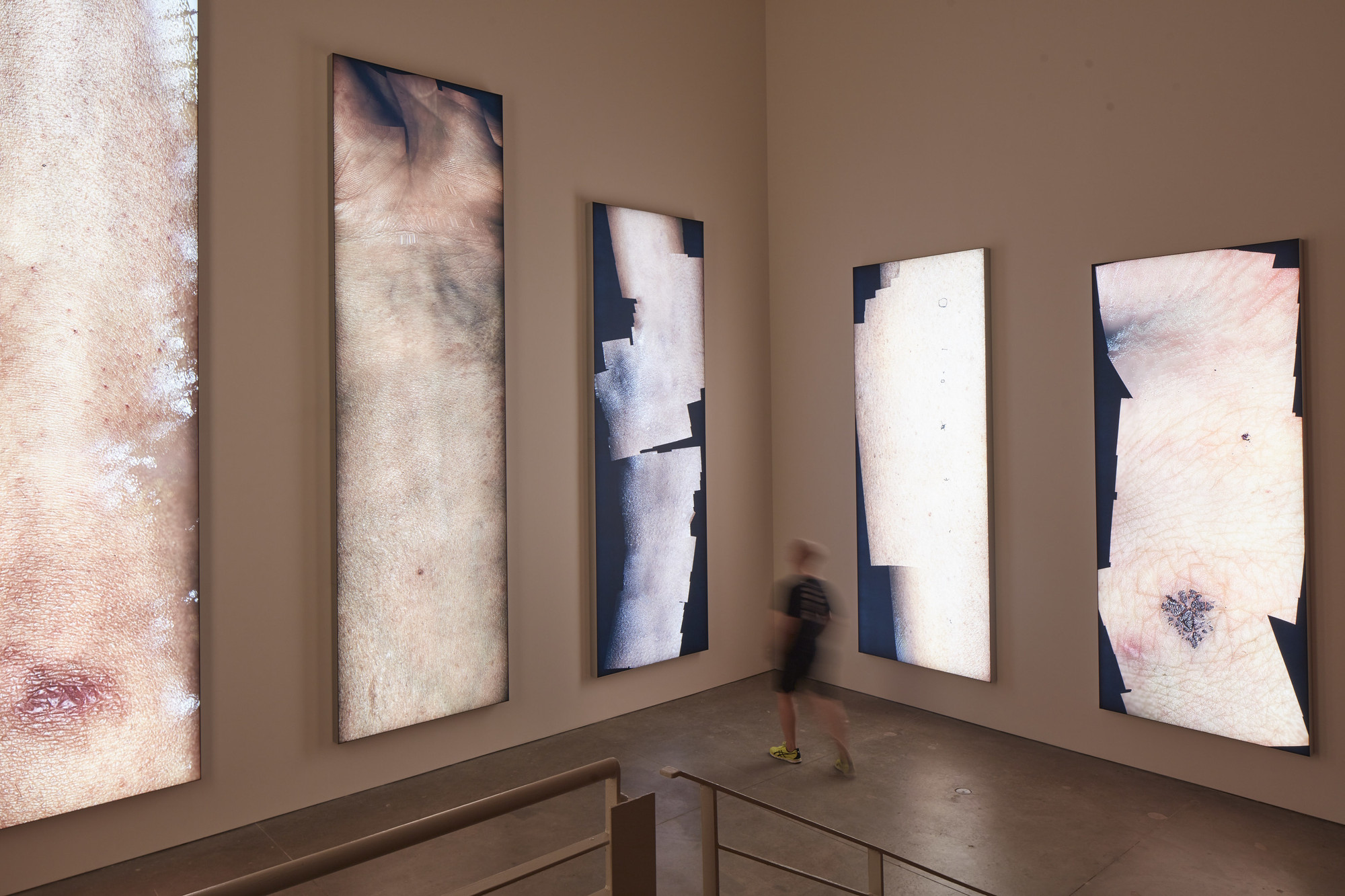 Lifeless Flesh the Work of Sue Coe and Seth Price | MoMA