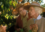 The Whales of August. 1987. USA. Directed by Lindsay Anderson. Courtesy of Alive Films/Photofest
