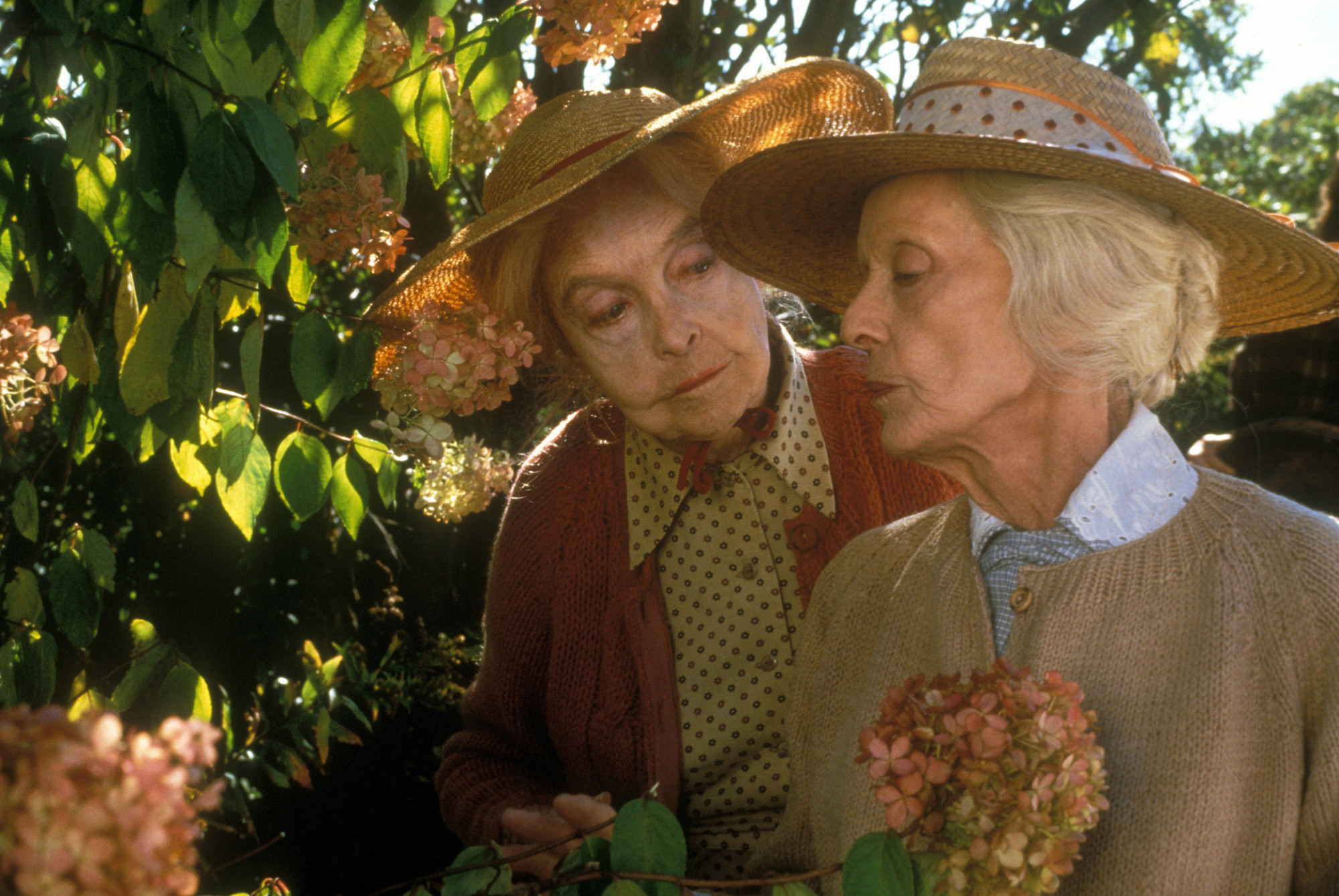 The Whales of August. 1987. Directed by Lindsay Anderson ...