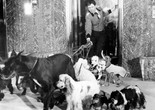 The Bellboy. 1960. USA. Directed by Jerry Lewis. Courtesy Paramount Pictures/Photofest