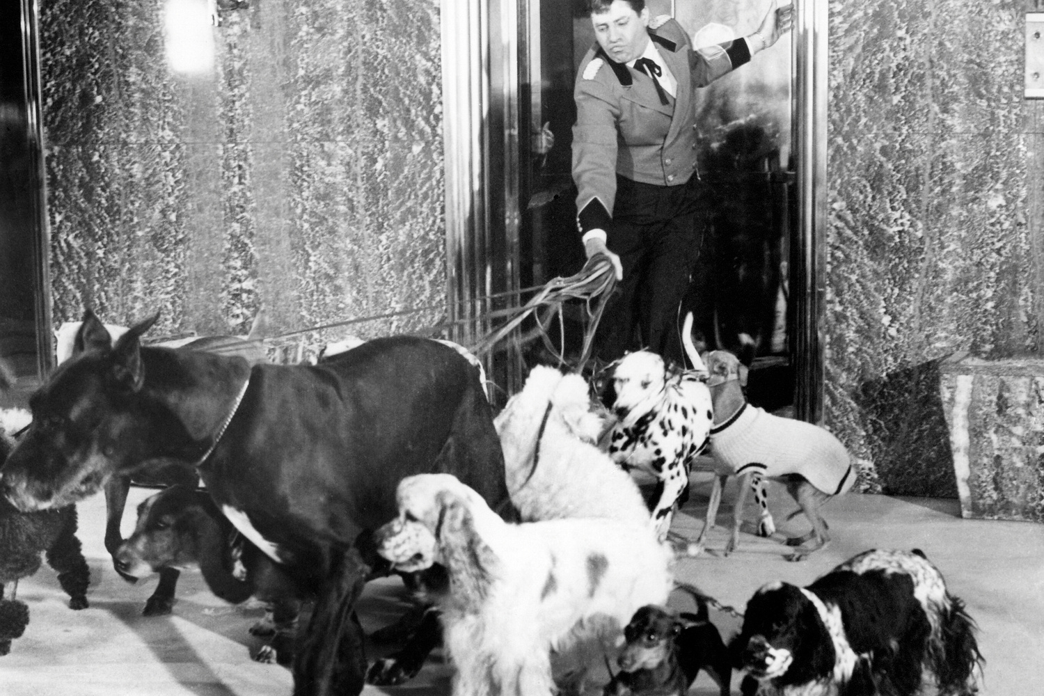 The Bellboy. 1960. USA. Directed by Jerry Lewis. Courtesy Paramount Pictures/Photofest