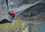 Free Solo. 2018. USA. Directed by Jimmy Chin and Elizabeth Chai Vasarhelyi. Courtesy of National Geographic Films
