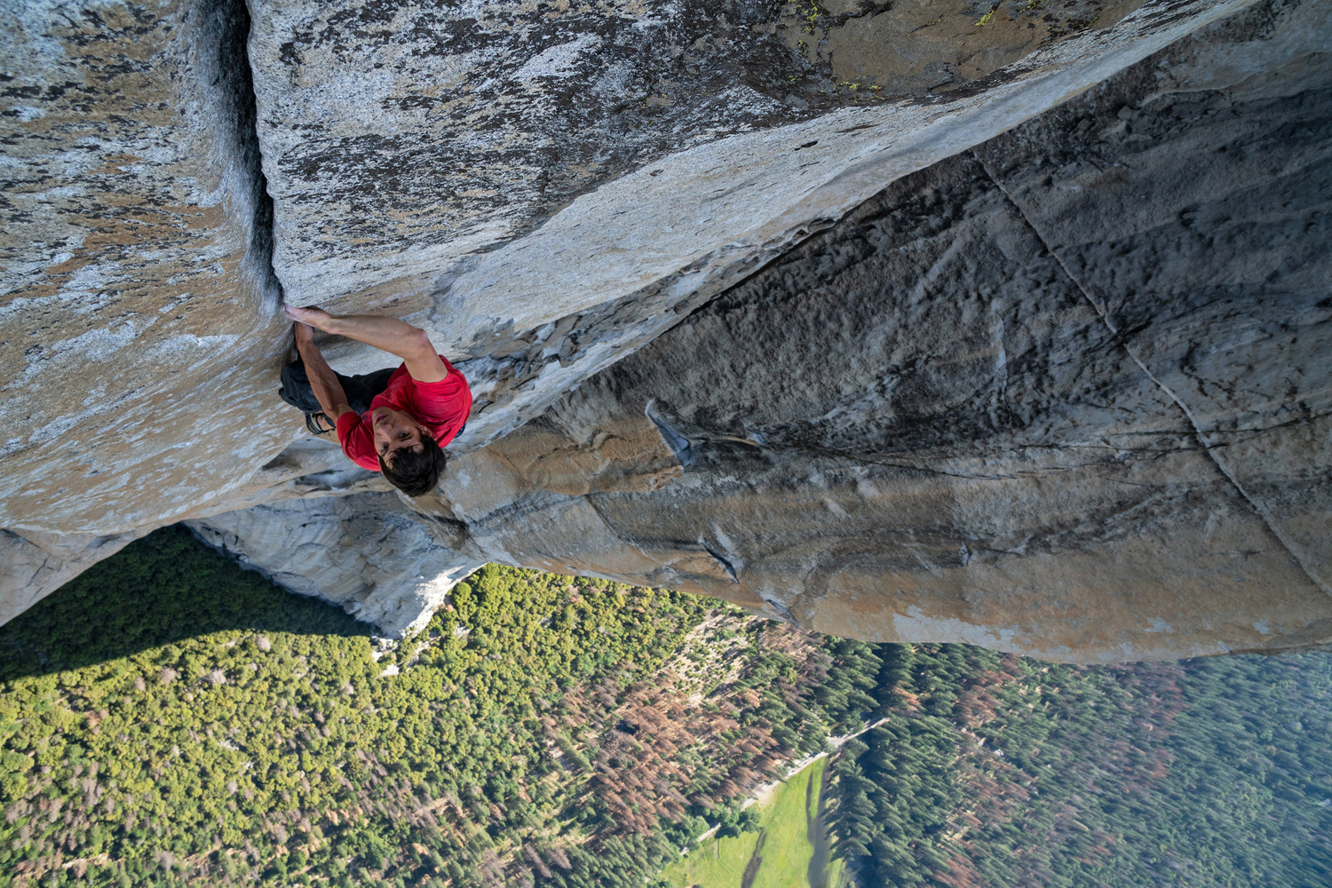 Free Solo. 2018. USA. Directed by Jimmy Chin and Elizabeth Chai Vasarhelyi. Courtesy of National Geographic Films