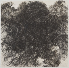 Kiki Smith. Untitled. 1990. Lithograph on handmade Japanese paper, sheet: 35 3/4 x 36" (90.8 x 91.5 cm). Publisher and printer: Universal Limited Art Editions, West Islip, New York. Edition: 54. The Museum of Modern Art. Gift of Emily Fisher Landau