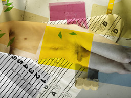 Michele Abeles. Fuschia, Yellow, Green, Blue, Numbers, Man, Cement, Paper. 2010. Pigmented inkjet print, 33 x 44" (83.8 x 111.8 cm). Courtesy the artist and 47 Canal, New York. © 2012 Michele Abeles