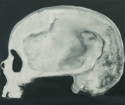 Marlene Dumas. Skull (of a Woman). 2005