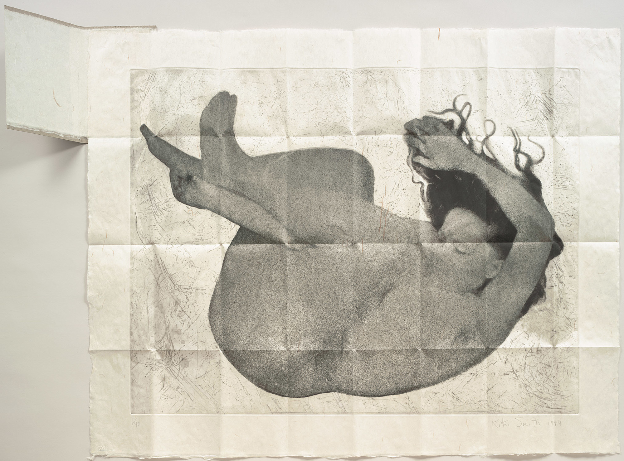 Photogravure, etching, and sanding on handmade Japanese paper, folded and mounted into cardboard folder
Plate: 27 3/16 x 35 1/2" (69 x 90.2 cm)
Sheet (unfolded): 33 1/2 x 42 1/16" (85 x 106.8 cm)
Folder (closed): 9 1/8 x 5 3/4" (23.2 x 14.6 cm)
Publisher and printer: Universal Limited Art Editions, West Islip,New York
Edition: 40
The Museum of Modern Art, New York. Gift of Emily Fisher Landau, 1995
©Kiki Smith