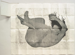 Photogravure, etching, and sanding on handmade Japanese paper, folded and mounted into cardboard folder
 Plate: 27 3/16 x 35 1/2" (69 x 90.2 cm)
 Sheet (unfolded): 33 1/2 x 42 1/16" (85 x 106.8 cm)
 Folder (closed): 9 1/8 x 5 3/4" (23.2 x 14.6 cm)
 Publisher and printer: Universal Limited Art Editions, West Islip,New York
 Edition: 40
 The Museum of Modern Art, New York. Gift of Emily Fisher Landau, 1995
 ©Kiki Smith