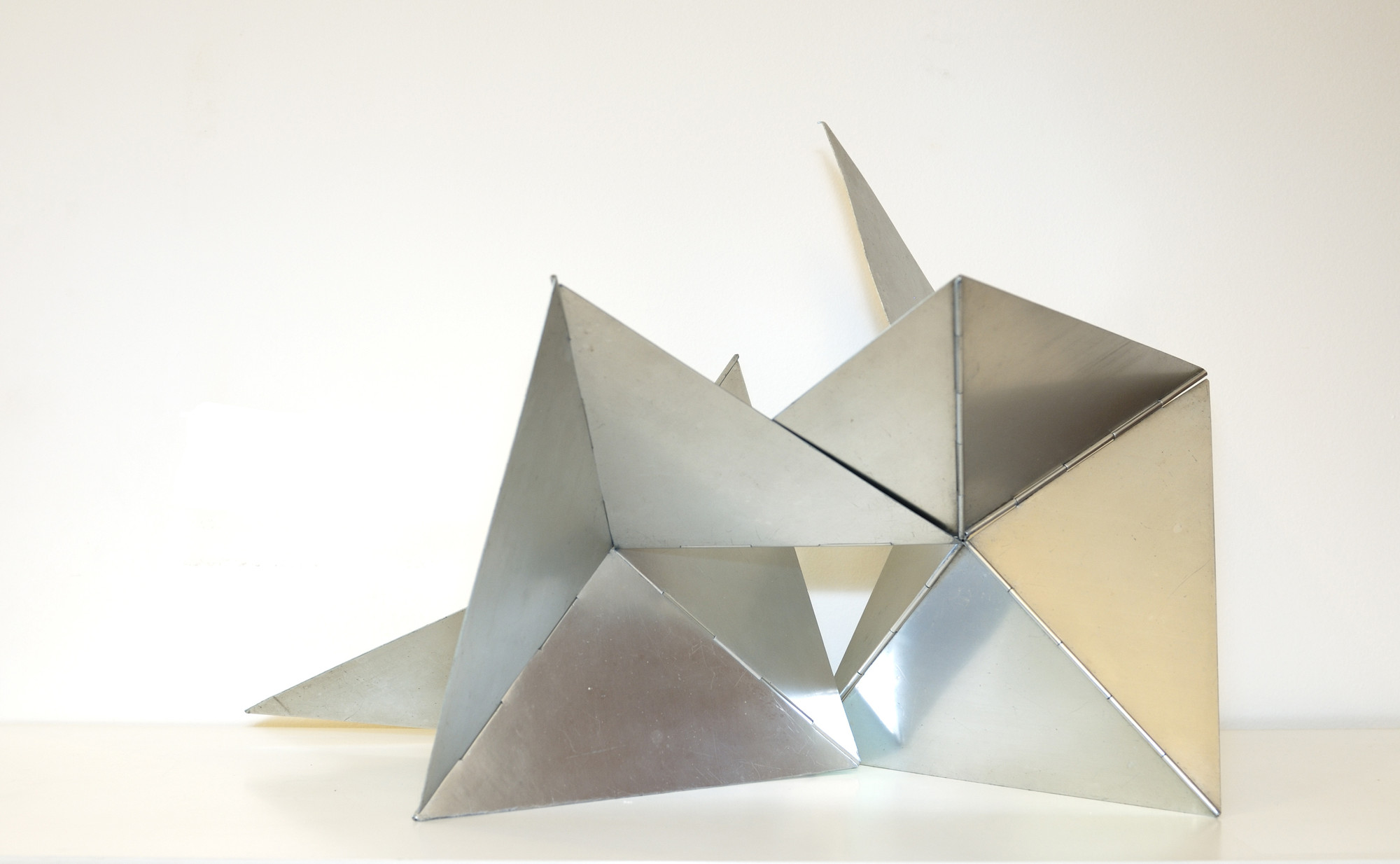 Lygia Clark, Bichos (como um grupo)