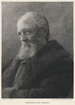 James Notman. Frederick Law Olmsted. Print: T. Johnson. The Century magazine. 1893