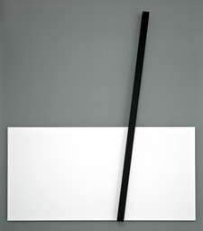 untitled from the series sarrafos (splints)