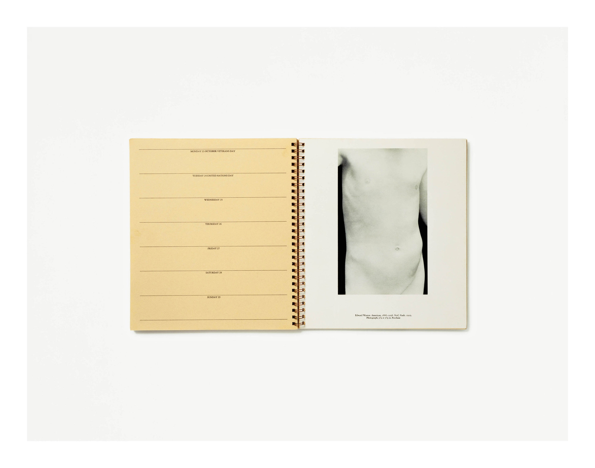 Anne Collier. _Veterans Day (Nudes, 1972 Appointment Calendar, The Museum of Modern Art, New York, Edward Weston)._ 2011