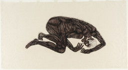 Etching and aquatint on handmade Japanese paper
 Composition: 23 7/16 x 49 1/4" (59.6 x 125.1 cm)
 Sheet: 41 13/16 x 6' 5 1/16" (106.2 cm x 195.8 cm)
 Publisher and Printer: Universal Limited Art Editions, West Islip, New York
 Edition: 33
 The Museum of Modern Art, New York. Gift of Emily Fisher Landau, 1993
 © Kiki Smith