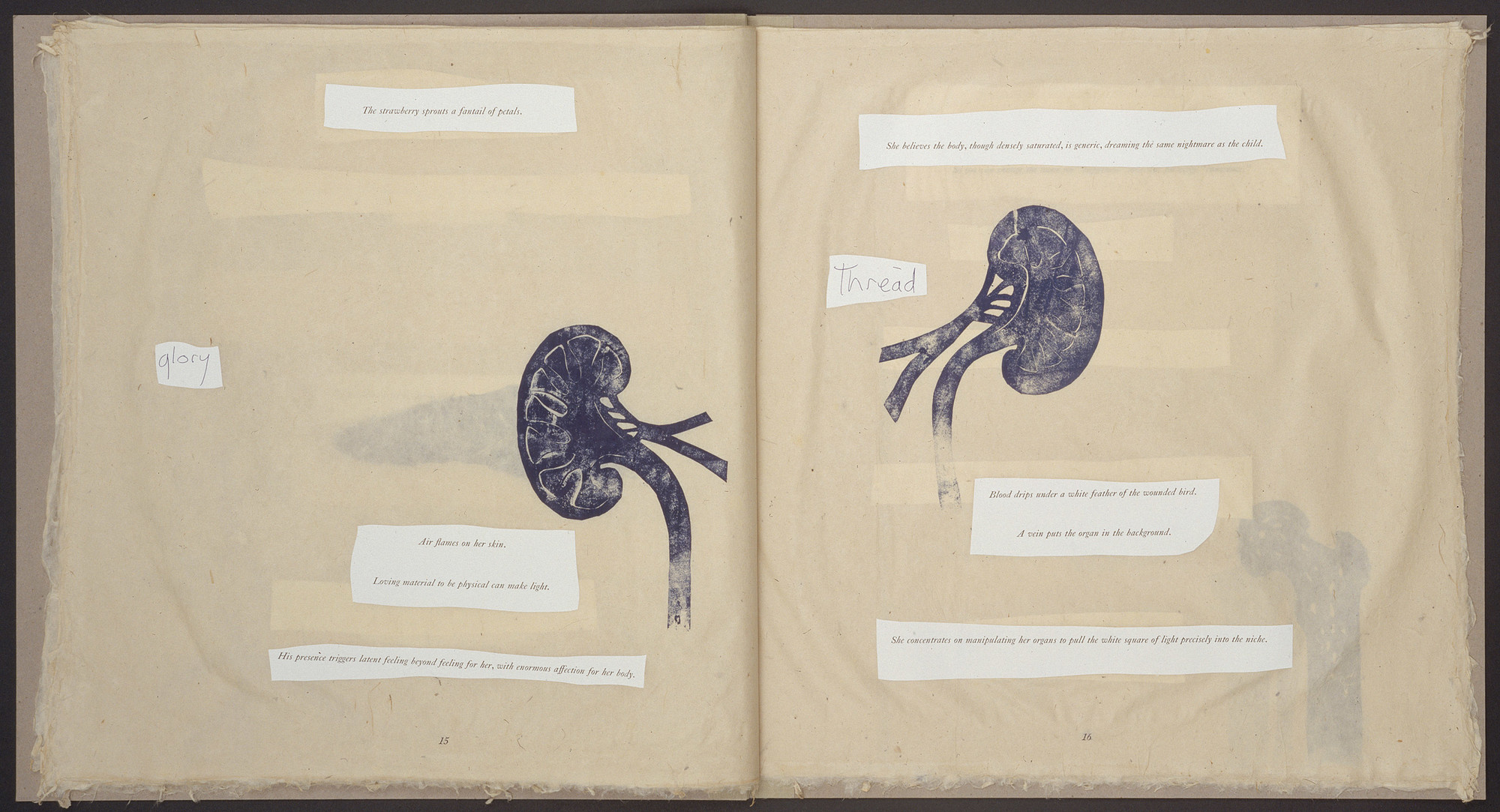 Book of twenty photolithographs on handmade Nepalese paper with collaged photolithographed text on machine made paper; and two photogravures with handmade Japanese paper overlay on front and back covers
Page: 20 1/2 x 19 1/2" (52.1 x 49.5 cm)
Publisher and printer: Universal Limited Edition. West Islip, New York
Edition: 40
The Museum of Modern Art, New York. Gift of Emily Fisher Landau, 1997
©Kiki Smith