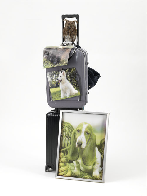 Isa Genzken. Oil XI. 2007 | MoMA