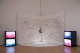 Carolee Schneemann. Up To And Including Her Limits. 1973–76