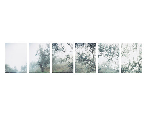 JoAnn Verburg
(American, born 1939)
Thanksgiving
2001