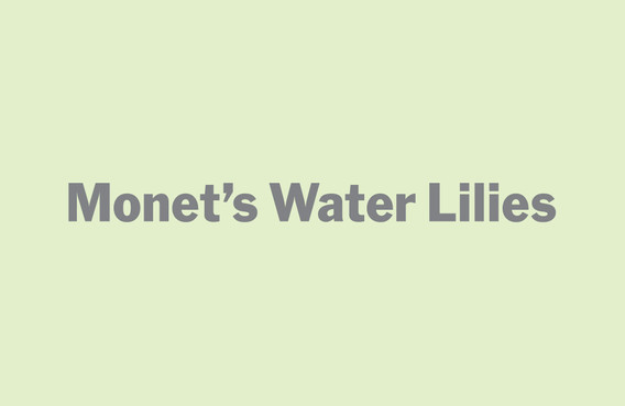 Monet&#39;s Water Lilies