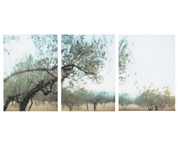 JoAnn Verburg
(American, born 1939)
Exploding Triptych
2000