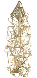 Huesos (bones)