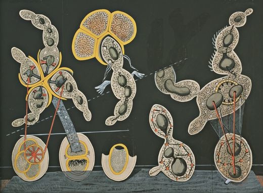 Max Ernst
(French, born Germany, 1891-1976)
The Gramineous Bicycle Garnished with Bells the Dappled Fire Damps and the Echinoderms Bending the Spine to Look for Caresses (la biciclette graminée garnie de grelots les grisous grivelés et les échinodermes courbants l'échine pour quêter des caresses)
c. 1921