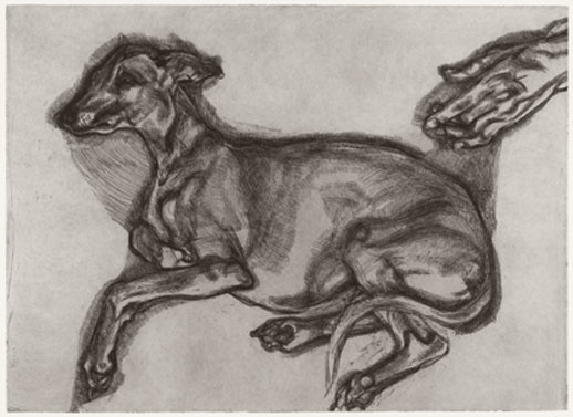 Lucian Freud
(British, born Germany 1922)
Pluto Aged Twelve
2000